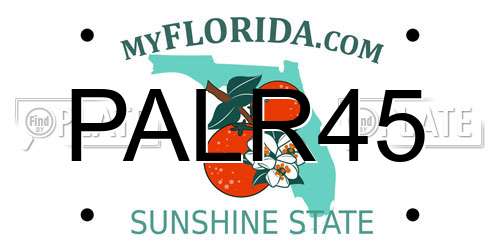 PALR45 Florida License Plate