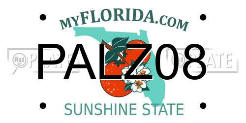 PALZ08 Florida License Plate