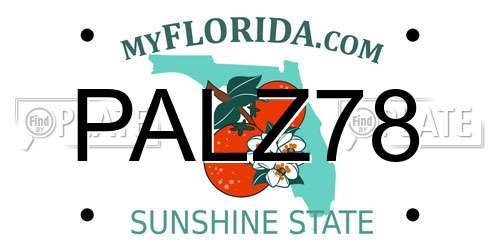PALZ78 Florida License Plate