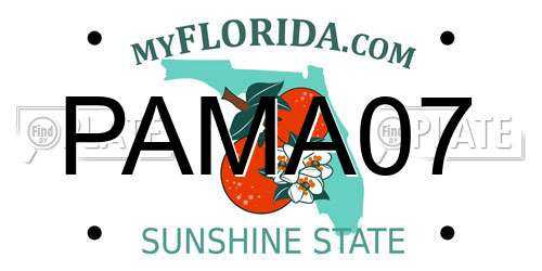 PAMA07 Florida License Plate