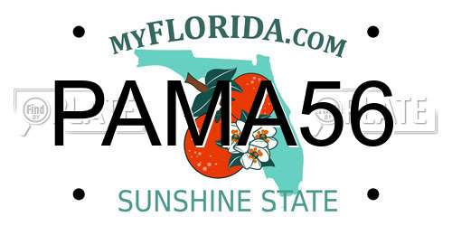PAMA56 Florida License Plate