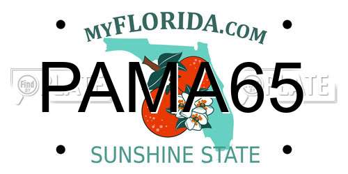 PAMA65 Florida License Plate