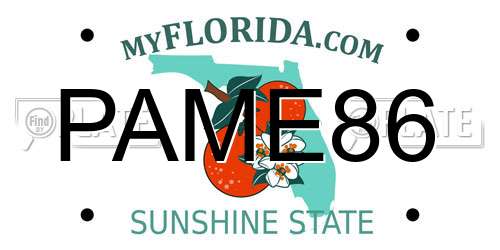 PAME86 Florida License Plate