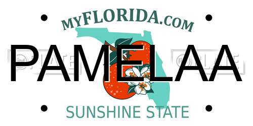 PAMELAA Florida License Plate