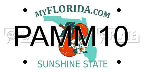 PAMM10 Florida License Plate