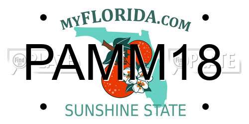 PAMM18 Florida License Plate