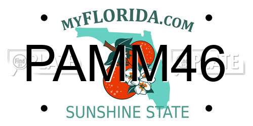 PAMM46 Florida License Plate