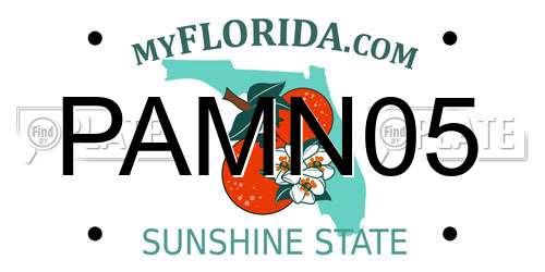PAMN05 Florida License Plate