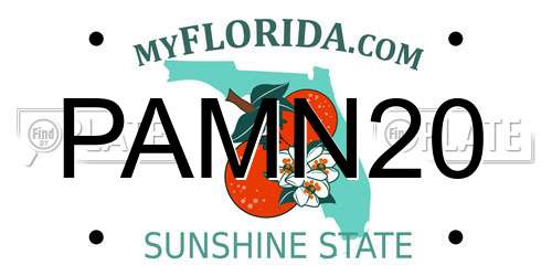 PAMN20 Florida License Plate