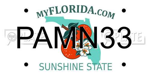 PAMN33 Florida License Plate