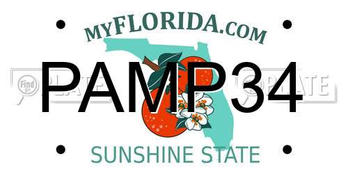 PAMP34 Florida License Plate