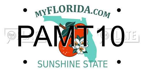 PAMT10 Florida License Plate