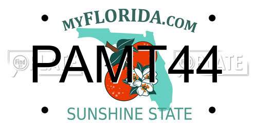 PAMT44 Florida License Plate