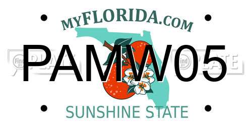 PAMW05 Florida License Plate