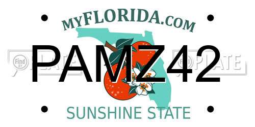 PAMZ42 Florida License Plate
