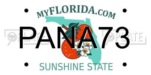 PANA73 Florida License Plate