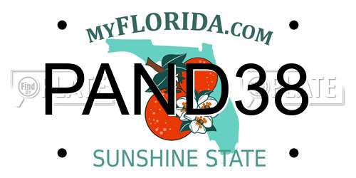 PAND38 Florida License Plate