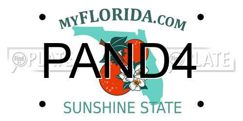 PAND4 Florida License Plate