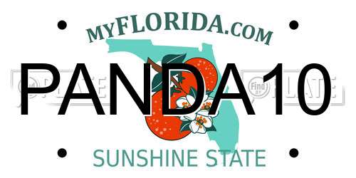 PANDA10 Florida License Plate