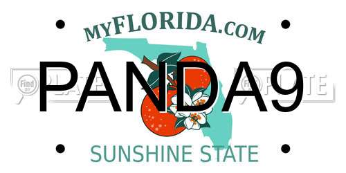 PANDA9 Florida License Plate