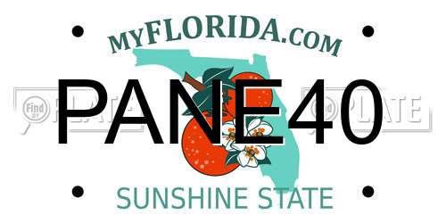 PANE40 Florida License Plate