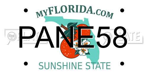 PANE58 Florida License Plate