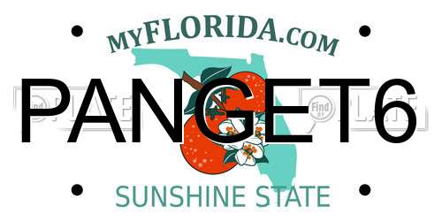 PANGET6 Florida License Plate