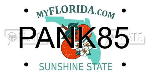 PANK85 Florida License Plate