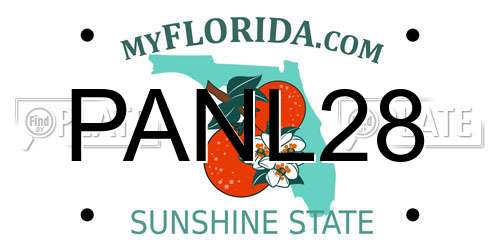 PANL28 Florida License Plate
