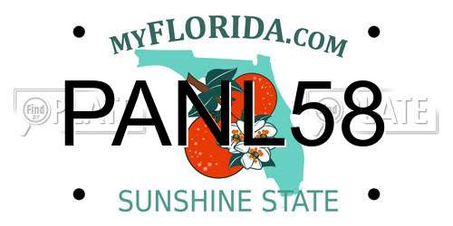 PANL58 Florida License Plate