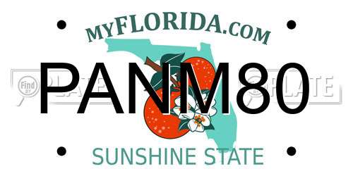 PANM80 Florida License Plate