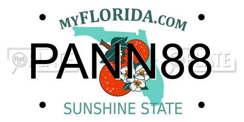 PANN88 Florida License Plate