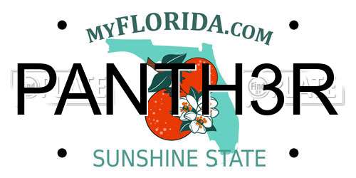 PANTH3R Florida License Plate