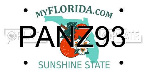 PANZ93 Florida License Plate