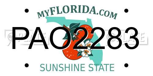 PAO2283 Florida License Plate