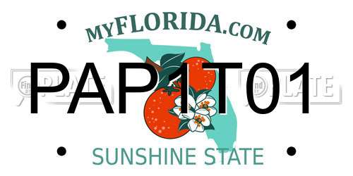 PAP1T01 Florida License Plate