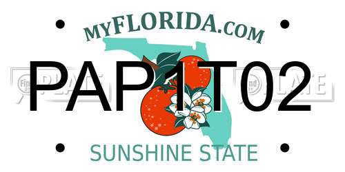 PAP1T02 Florida License Plate