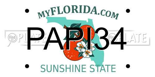 PAPI34 Florida License Plate