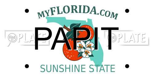 PAPIT Florida License Plate