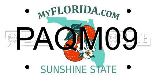PAQM09 Florida License Plate