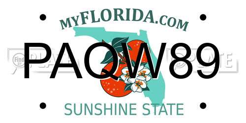 PAQW89 Florida License Plate