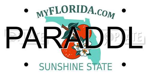 PARADDL Florida License Plate