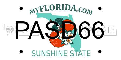 PASD66 Florida License Plate
