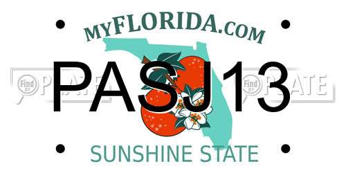 PASJ13 Florida License Plate