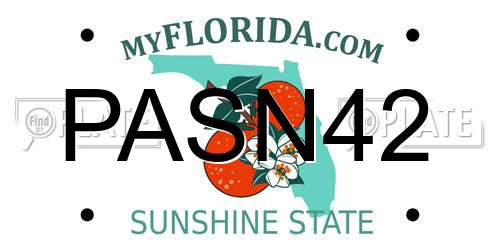 PASN42 Florida License Plate