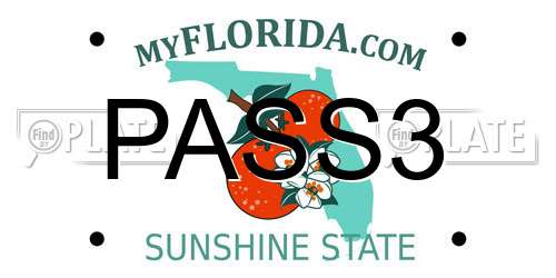 PASS3 Florida License Plate