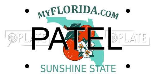 PATEL Florida License Plate