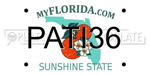 PATI36 Florida License Plate