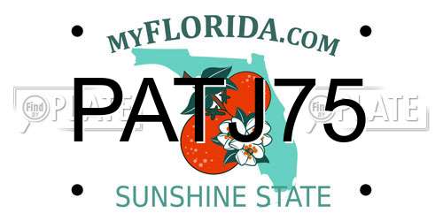 PATJ75 Florida License Plate