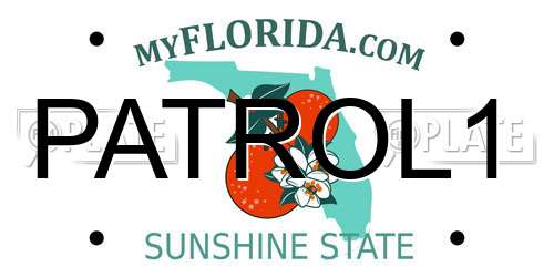PATROL1 Florida License Plate